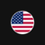 Black American Flag